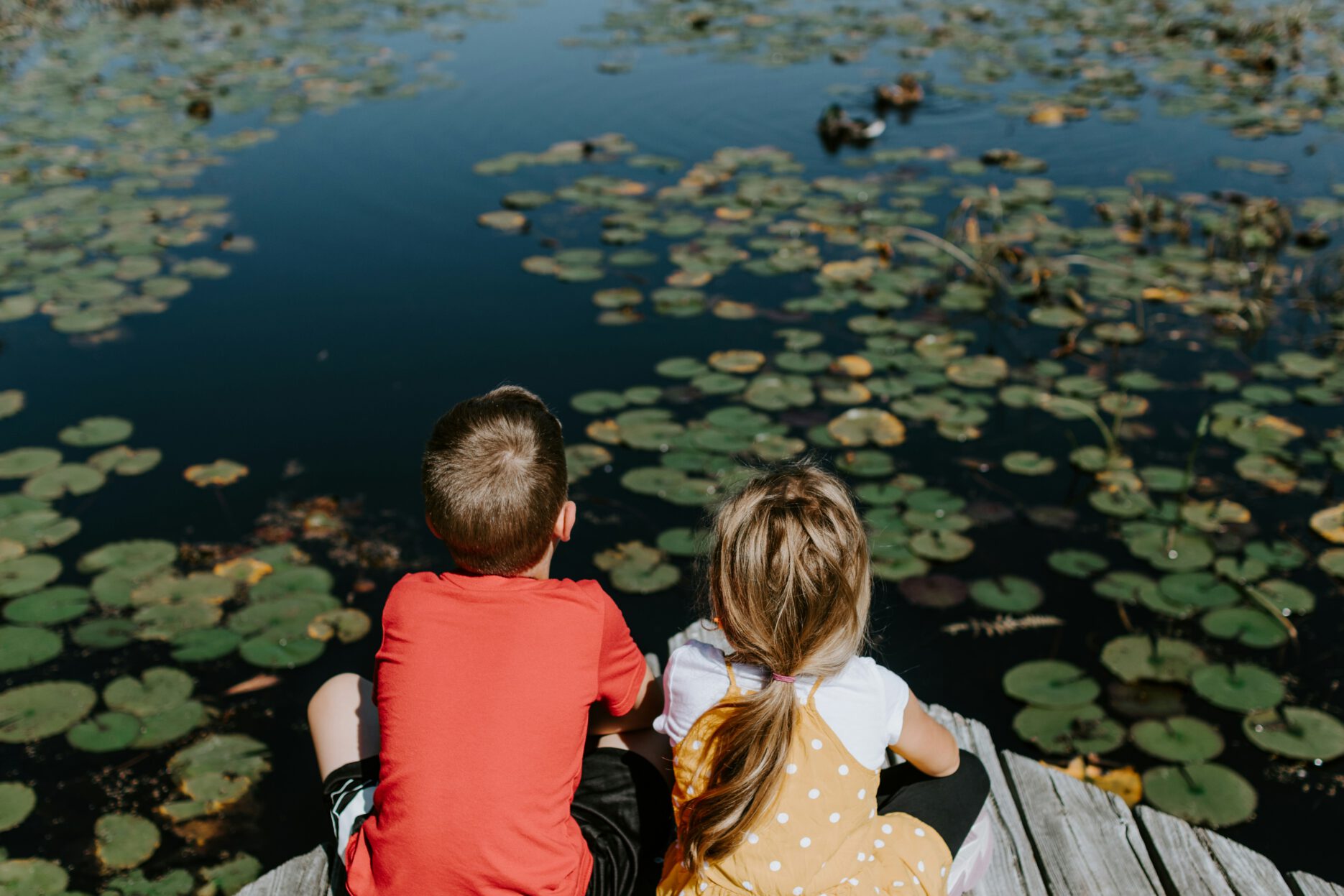 Es sind zwei Kinder von hinten zu sehen. Sie hocken auf einem Steg und blicken auf einen See mit Seerosen.