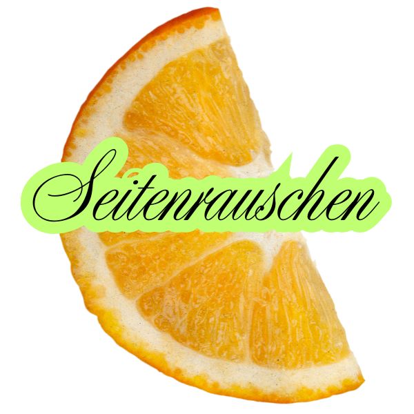 Seitenrauschen im Brecht-Haus